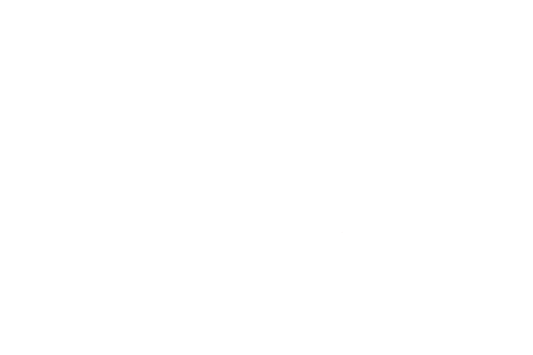Ladies media
